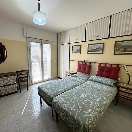 Urban Daisy * Ponte San Giovanni